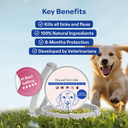 DrPaws 8 Months Flea and Tick Free Collar