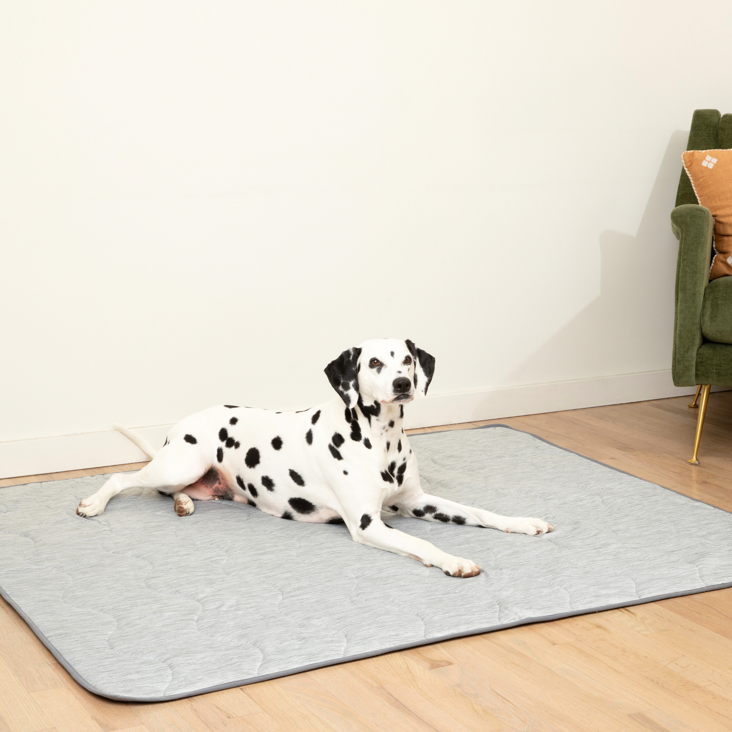 PupChill Cooling Waterproof Blanket