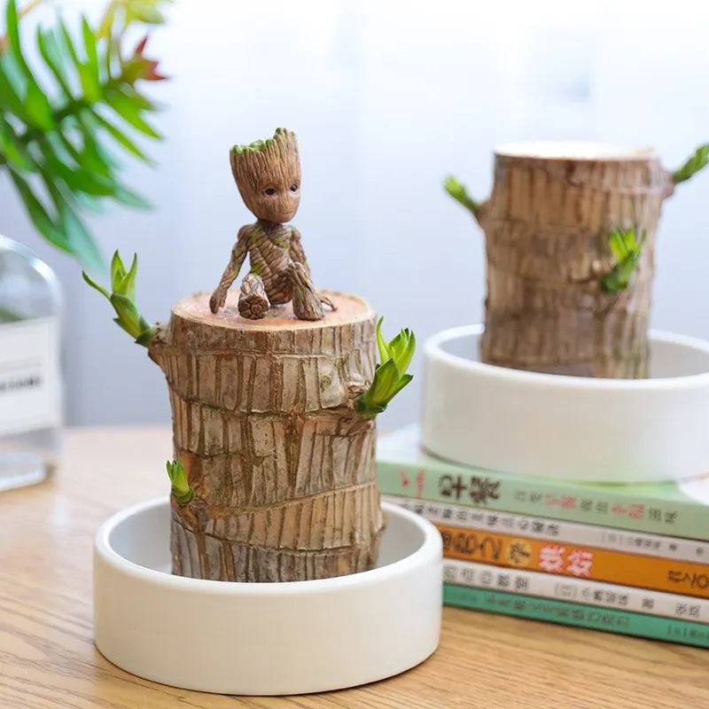 Sky Terrarium Lucky Wood