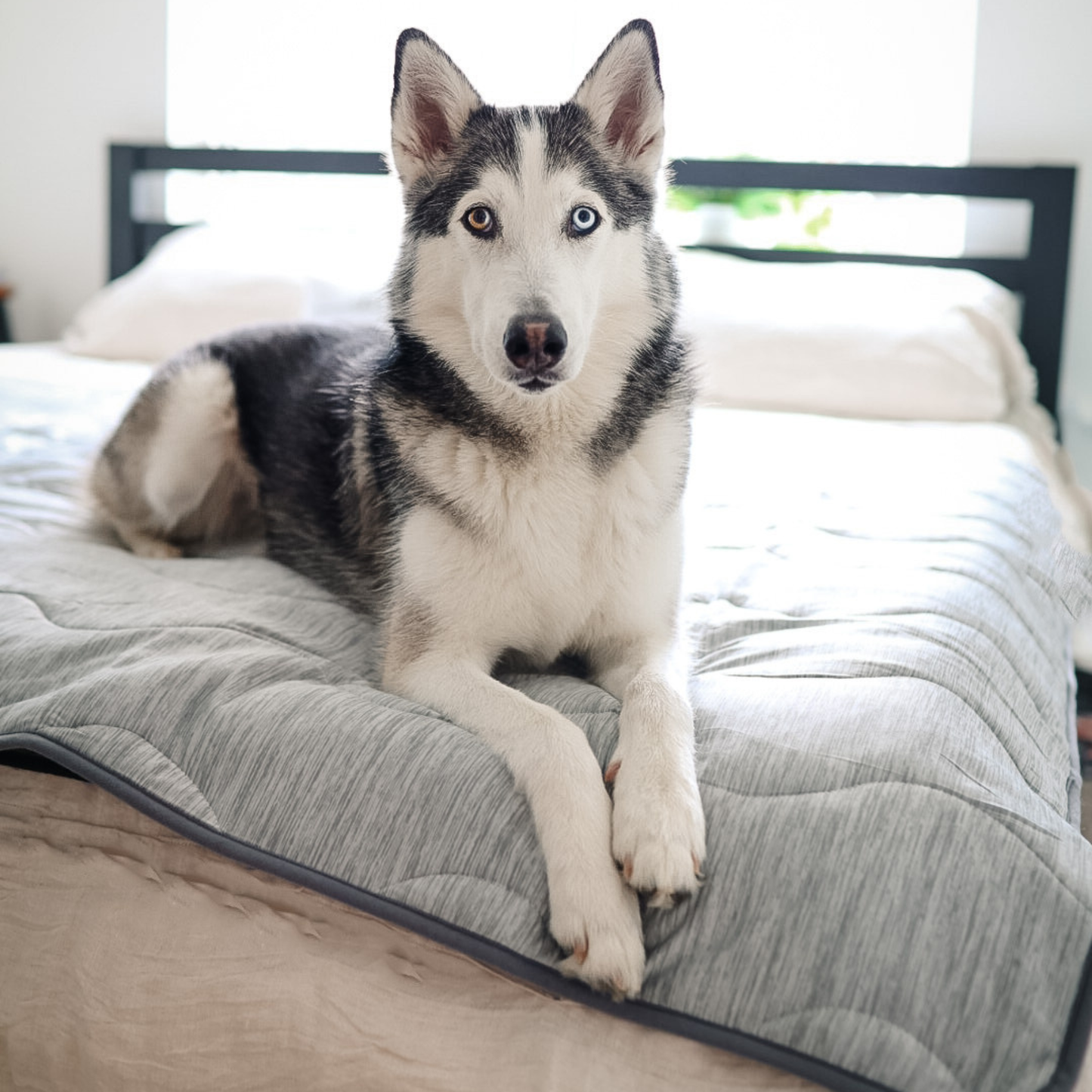 PupChill Cooling Waterproof Blanket