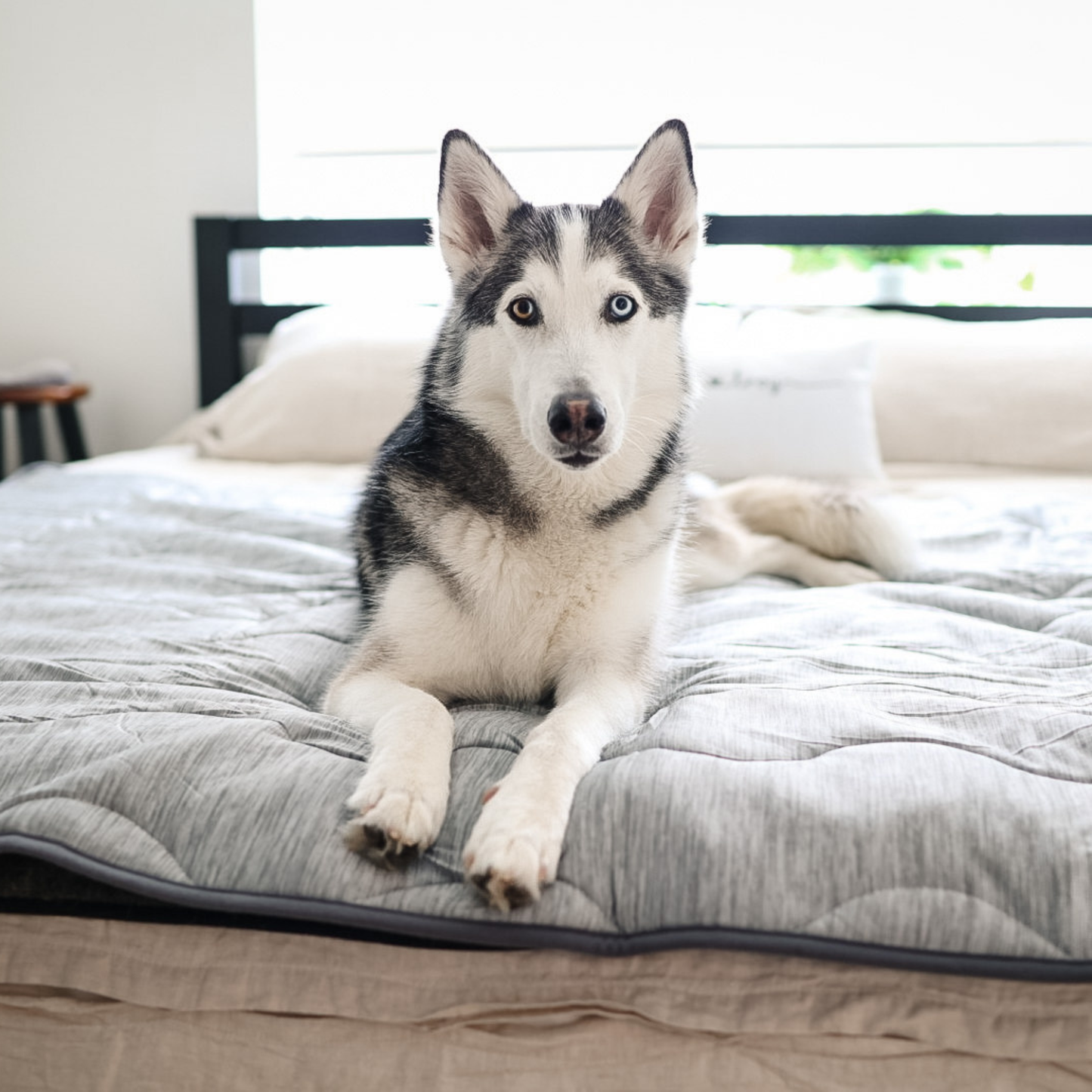 PupChill Cooling Waterproof Blanket