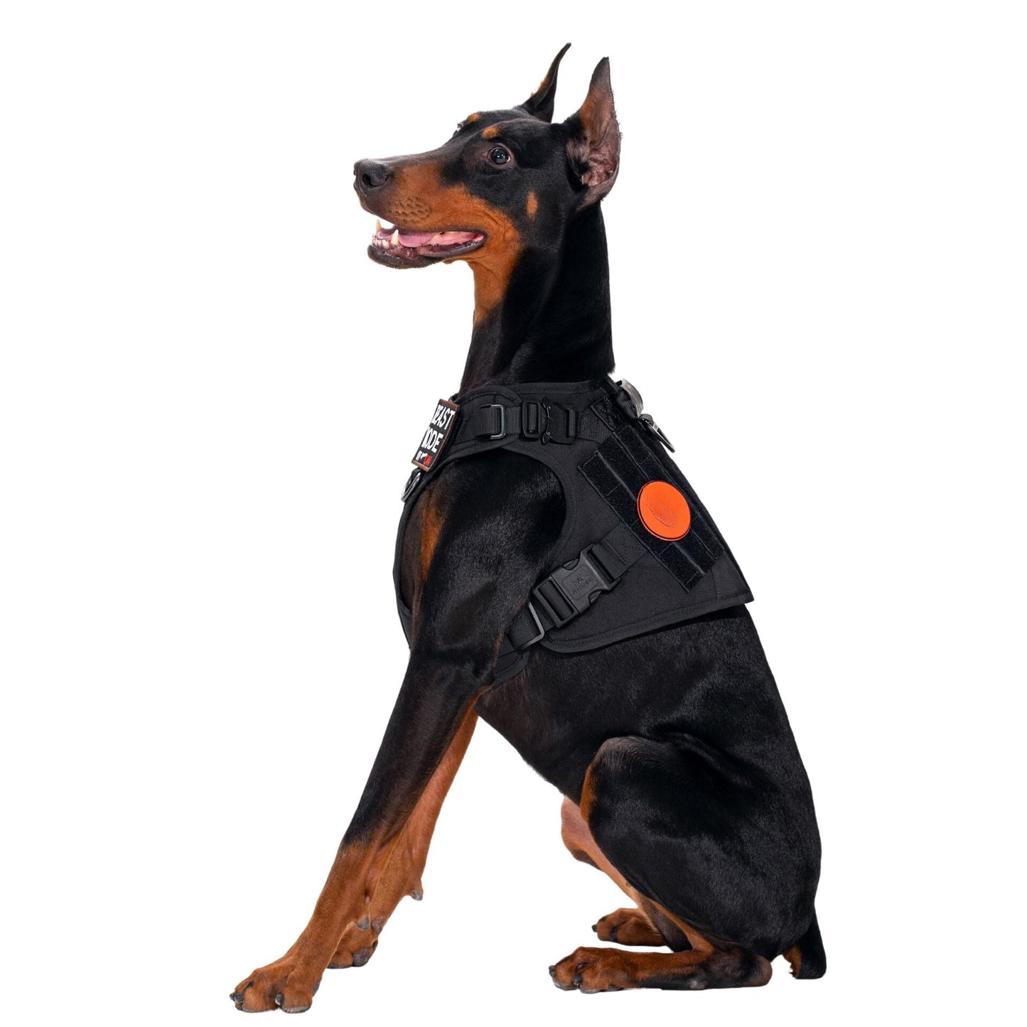 Tactical No Pull Dog Harness v2