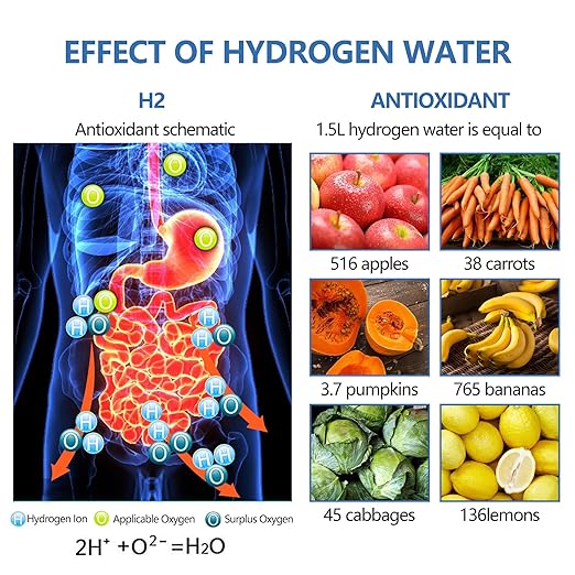 Hydrogen Water Bottle - Enhanced Health – Entaura