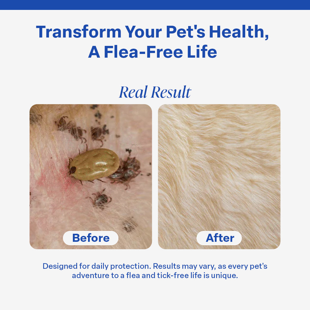 DrPaws 8 Months Flea and Tick Free Collar