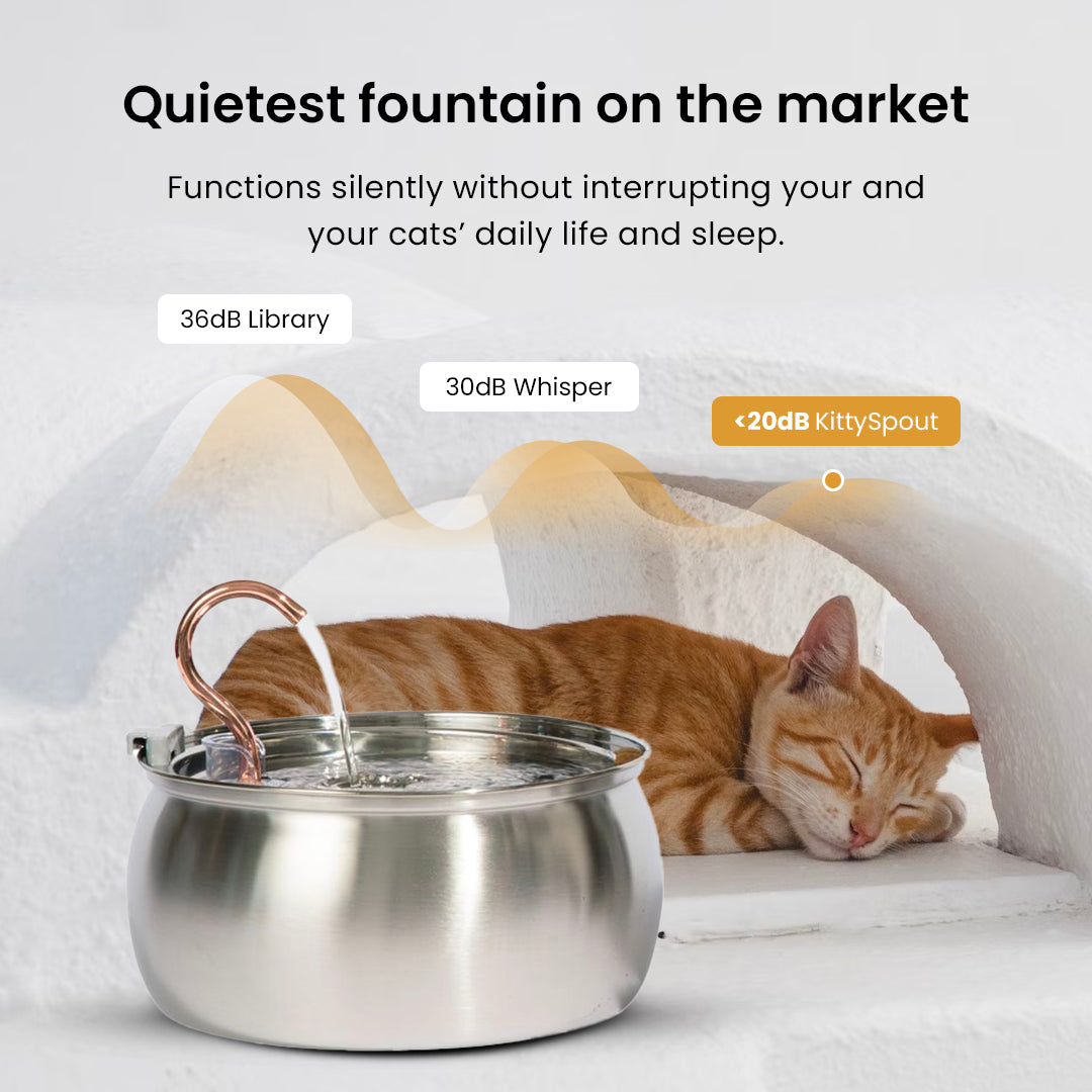 The KittySpout - Health & Happiness Cat Kit