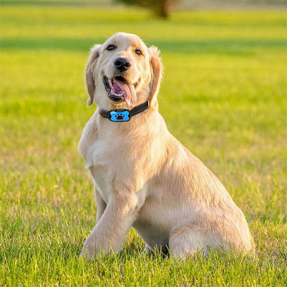 PuppyLove Anti-Bark Collar