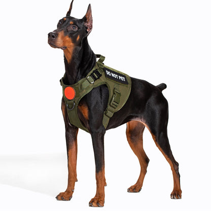 Tactical No Pull Dog Harness v2