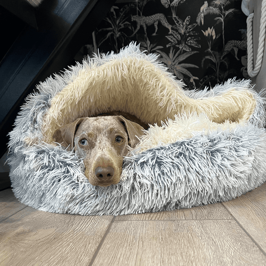 Cozy Cove Premium Pet Bed