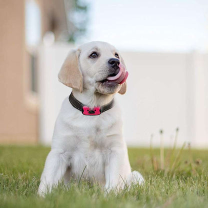 PuppyLove Anti-Bark Collar